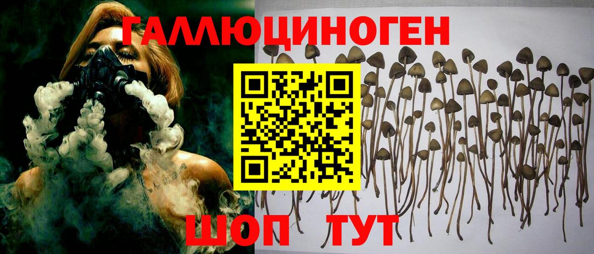 Ржев  где продают наркотики  Вход с VPN  Галлюциногенные грибы MAGIC MUSHROOMS 